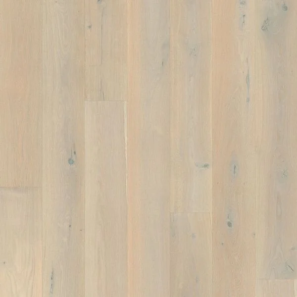 bricoflor20260613062733237147