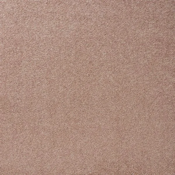 bricoflor20260613062855237281