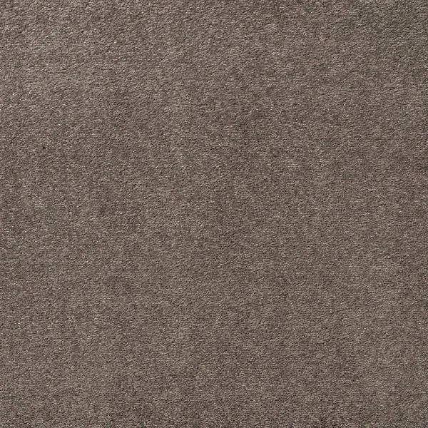 bricoflor20260613062859237286