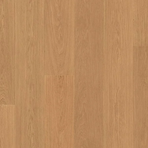 bricoflor20260613063901238353