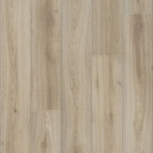 bricoflor20260613064159238664