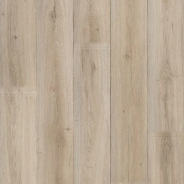bricoflor20260613064205238676