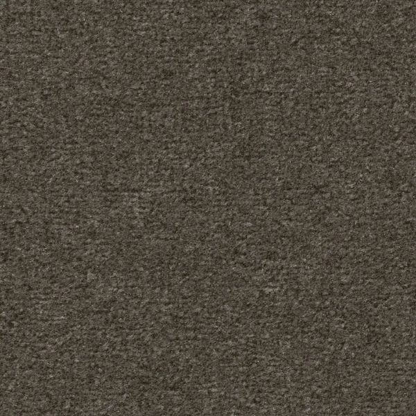 bricoflor20260613064241238738