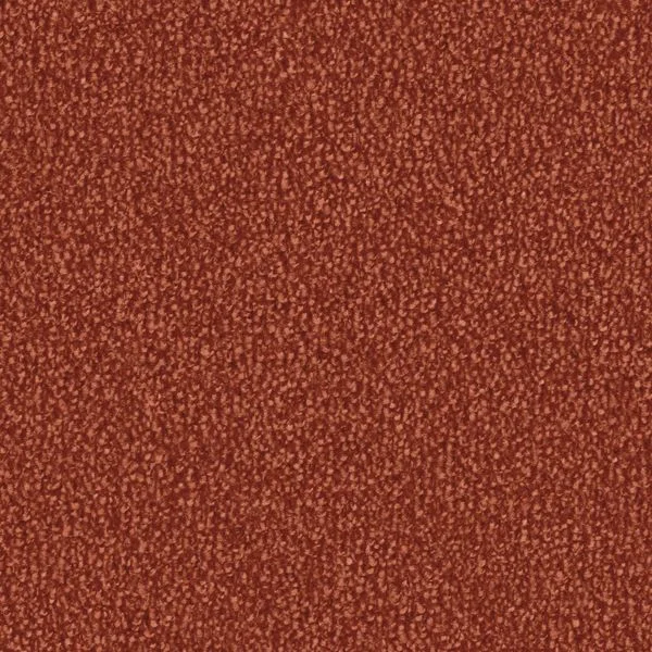 bricoflor20260613064421238907
