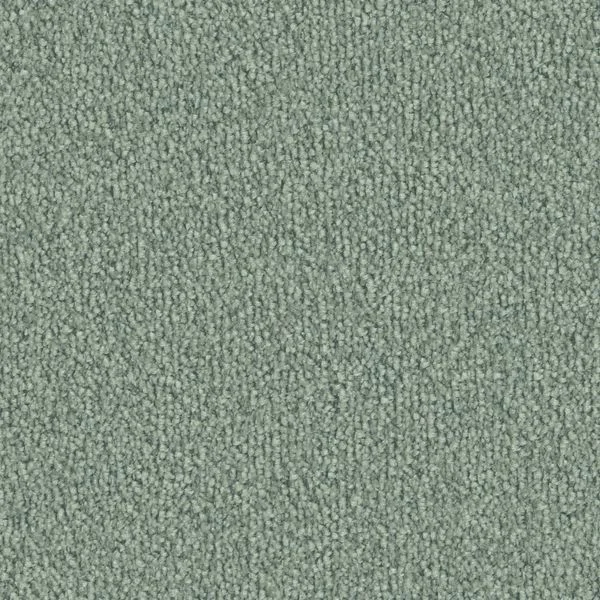 bricoflor20260613064430238922