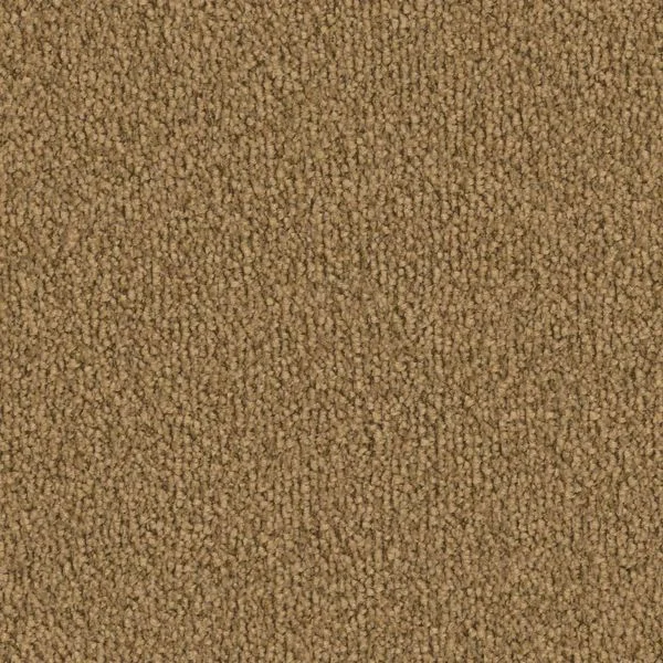 bricoflor20260613064439238940