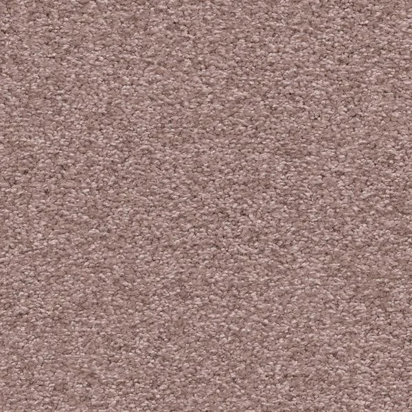 bricoflor20260613064450238958