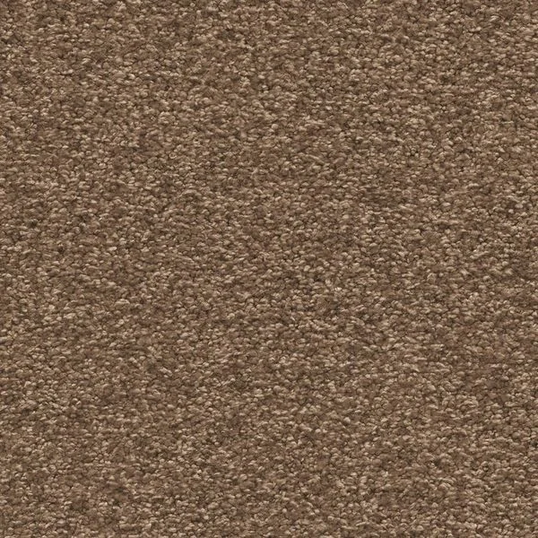 bricoflor20260613064510238996