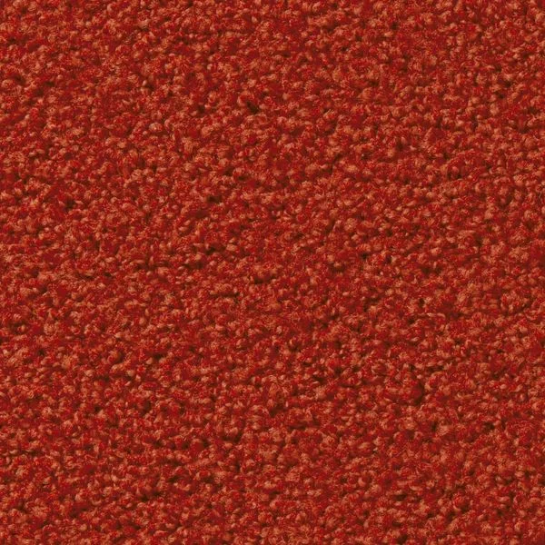 bricoflor20260613064533239036