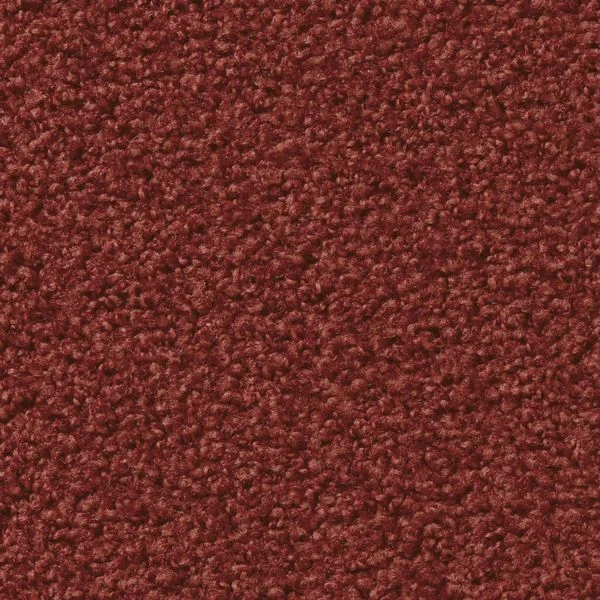 bricoflor20260613064555239072