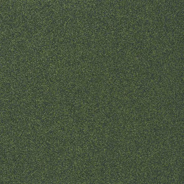 bricoflor20260613064713239196
