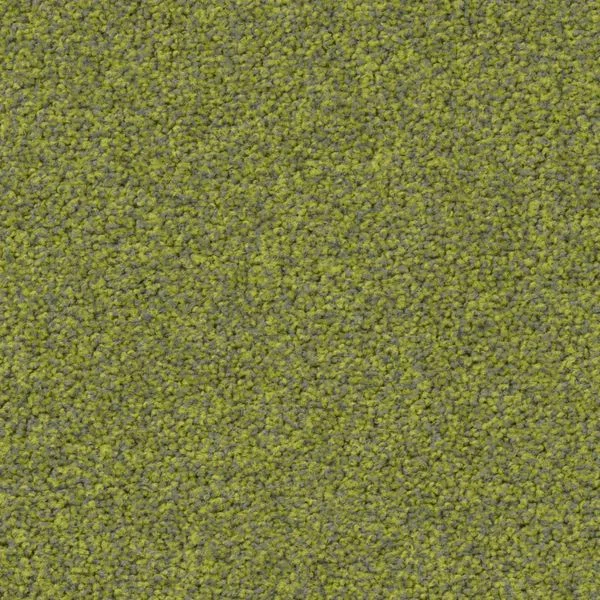 bricoflor20260613064716239202
