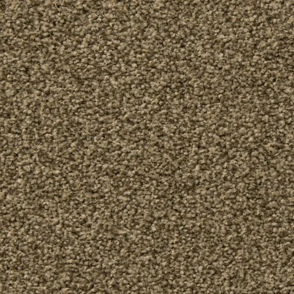 bricoflor20260613064735239232