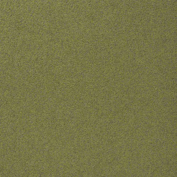 bricoflor20260613064800239274