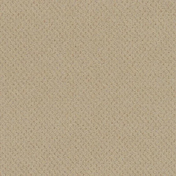bricoflor20260613064843239355