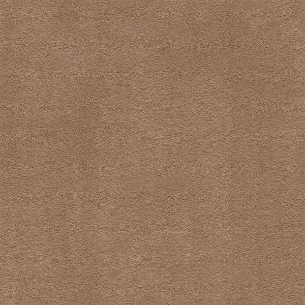 bricoflor20260613065250239787