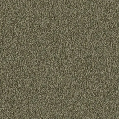bricoflor20260613065316239829