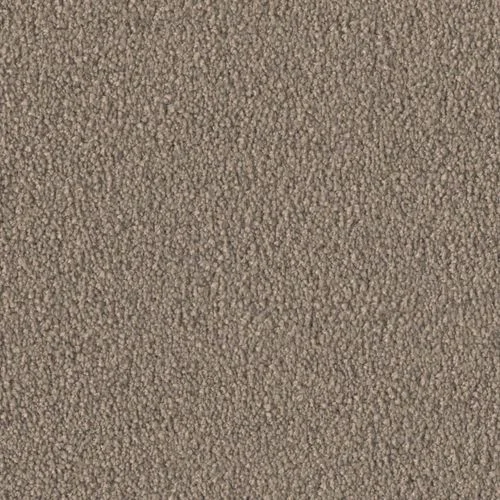 bricoflor20260613065326239845