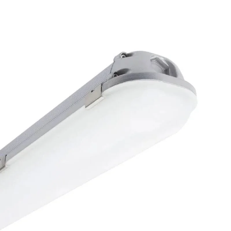 ledkia202606081451133278057