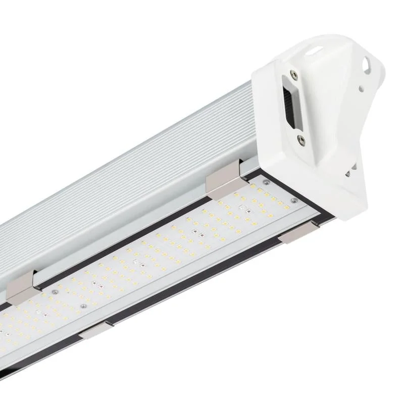 ledkia202606081726503297972