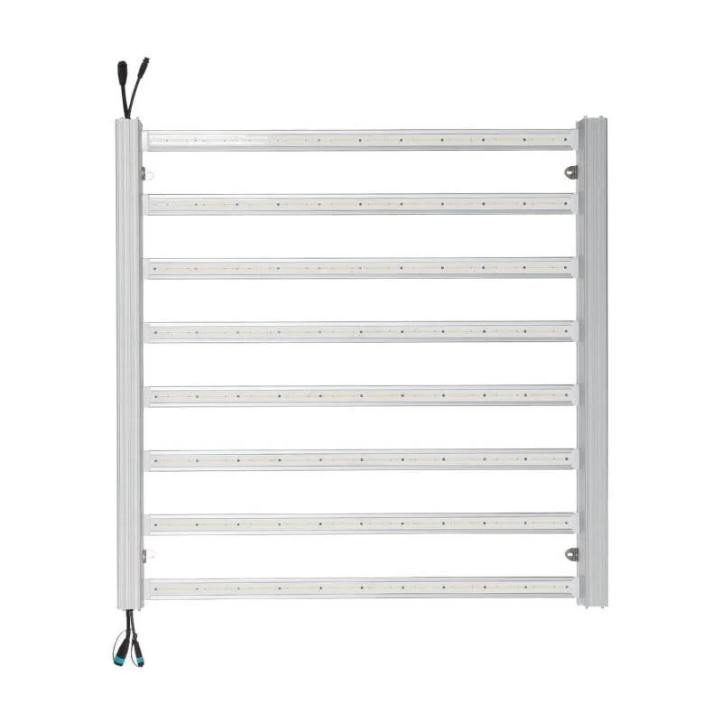 ledkia202606081742333301200