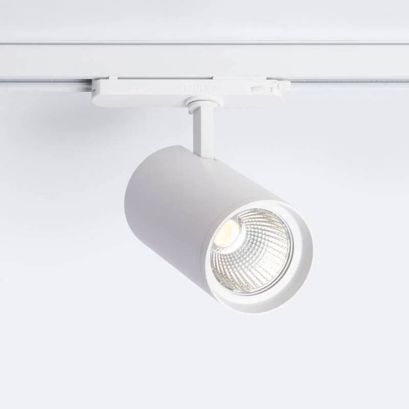 ledkia202606081938593326534