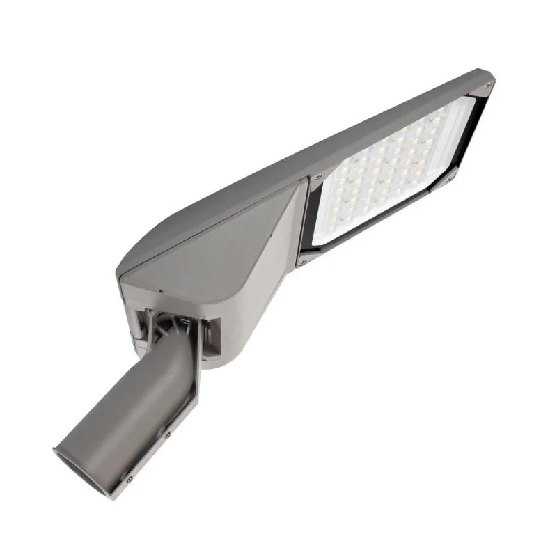 ledkia202606081939583326735