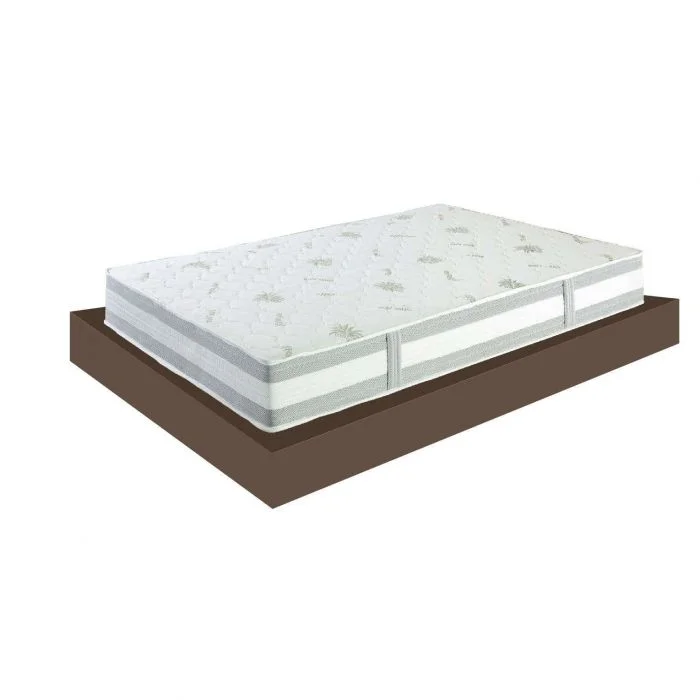 mondolegnostore20260612174531137396