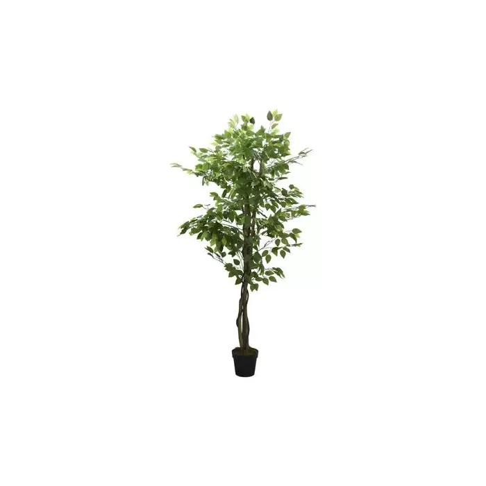 mondolegnostore20260612230657183637