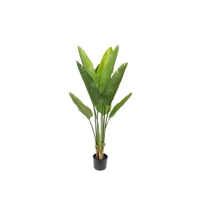 mondolegnostore20260612230748183808