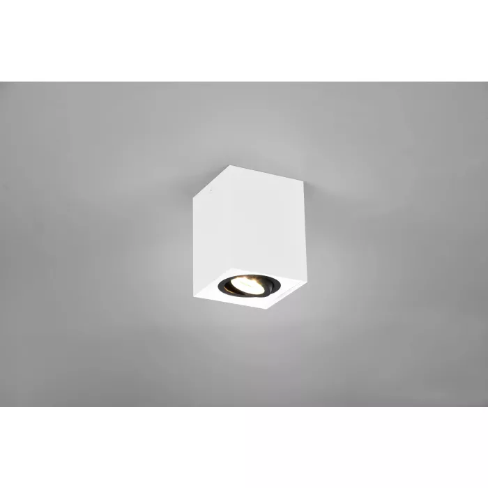 mondolegnostore20260612233016187874