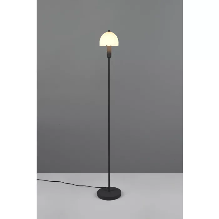 mondolegnostore20260612234732190630