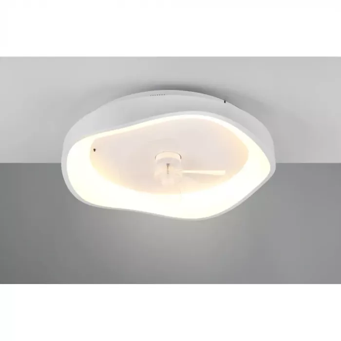 mondolegnostore20260612235602192040