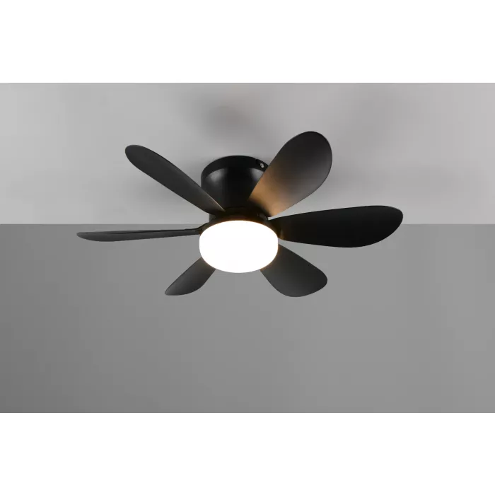 mondolegnostore20260612235608192060