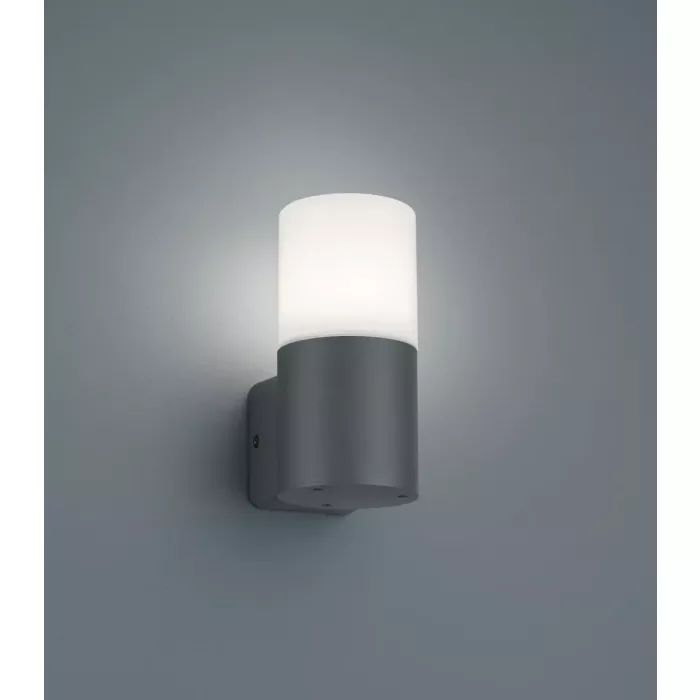 mondolegnostore20260613000700193797