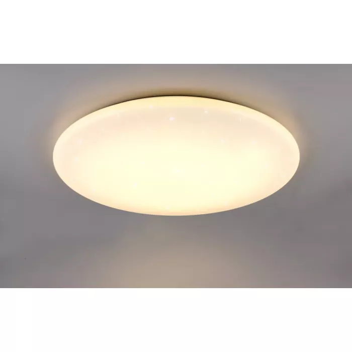 mondolegnostore20260613000836194105