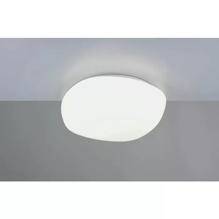 mondolegnostore20260613000836194106