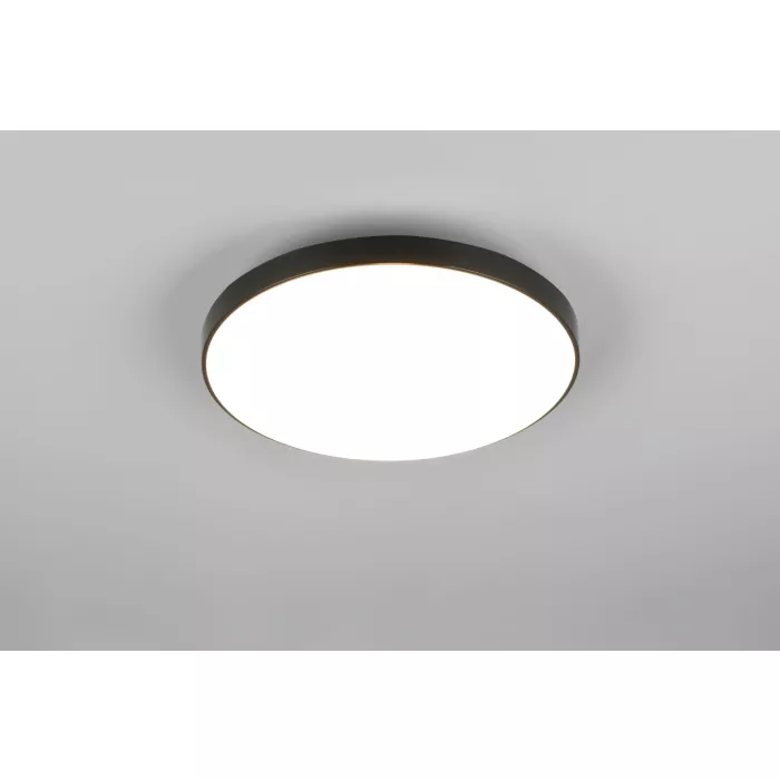 mondolegnostore20260613002254196552